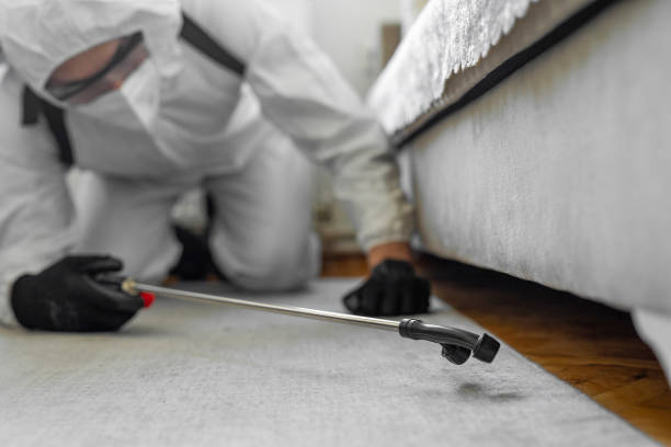Professional Cockroach Control technician working in Brookside Village, TX